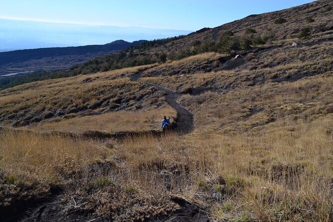 Etna Wine: discovering the volcano & enjoying a wine tasting - Final Thoughts: Is This Tour Worth It?