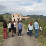 Etna Wineries Tour - Small Groups from Taormina - Who Will Love This Tour?