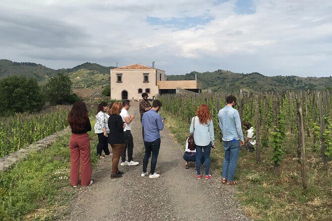 Etna Wineries Tour - Small Groups from Taormina - Who Will Love This Tour?