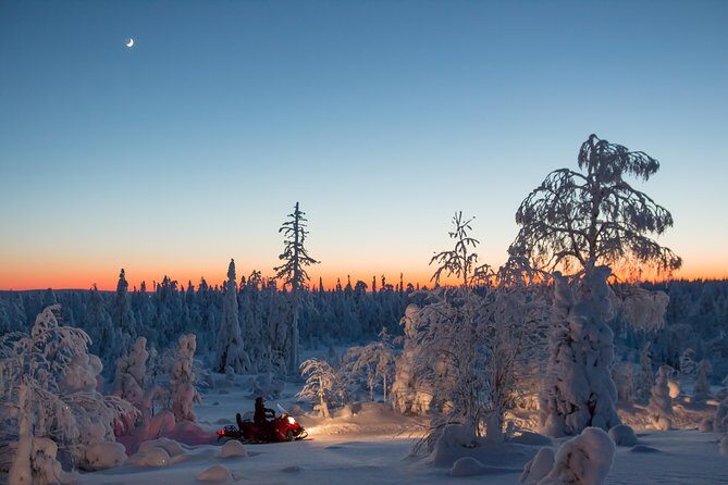 Evening Escape - Snowmobile safari and campfire in Rovaniemi - The Practical Side: Price and Booking