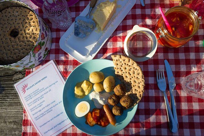 Evening Wildlife Safari from Stockholm - The Sum Up