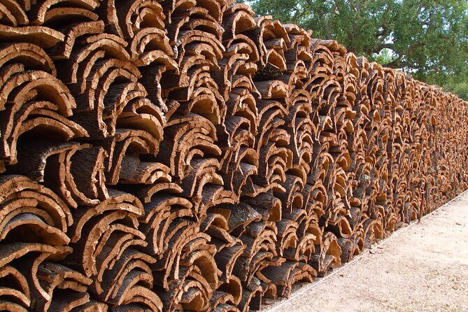 Évora Cork and Castle Tour - Exploring Évora Monte Castle