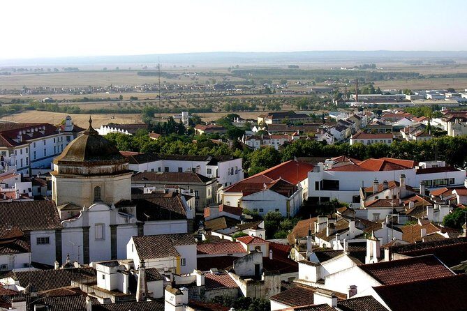 Évora - Full day Private Guided tour from Lisbon by minivan - Key Points