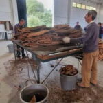 Évora & Wines: A Taste of Authentic Alentejo - What Travelers Are Saying