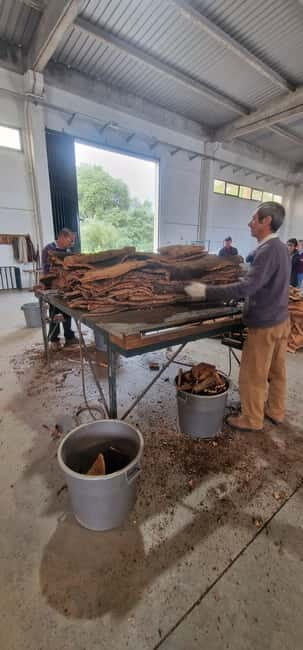 Évora & Wines: A Taste of Authentic Alentejo - What Travelers Are Saying