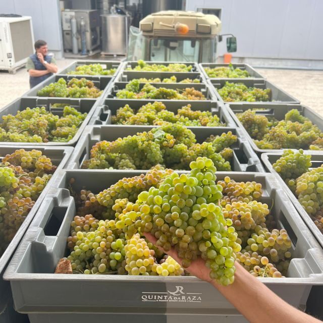 Exclusive 5-wine tasting - Who is this tour best suited for?