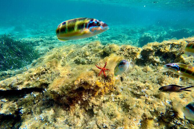 Exclusive boat tour max 9 people tropea capo vatican - Why This Tour Is Worth Your Time