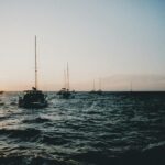 Exclusive Catamaran Sailing Adventure, BBQ & drinks on board - Who Will Love This Tour?