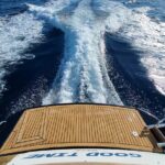 Exclusive cruise, swimming, Saint Jean Cap Ferrat, Nice, Eze - Authentic Insights from Reviews