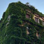 Exclusive Liberty Tour with aperitif included - What You Can Expect and What You Won’t