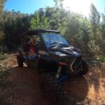 Exclusive Private Buggy Adventure: Forest and Mountains - Why This Tour Is a Great Choice