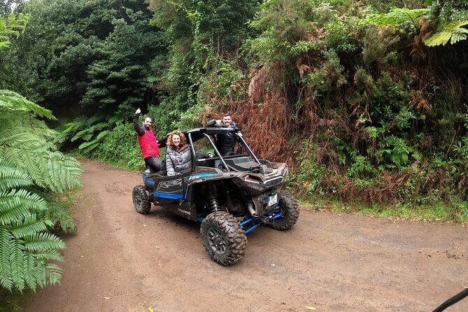 Exclusive Private Buggy Adventure: Forest and Mountains - Who Should Book This Tour?