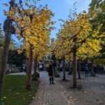 Exclusive PRIVATE Walking Tour of Bruges - Who Will Love This Tour?