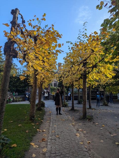 Exclusive PRIVATE Walking Tour of Bruges - Who Will Love This Tour?
