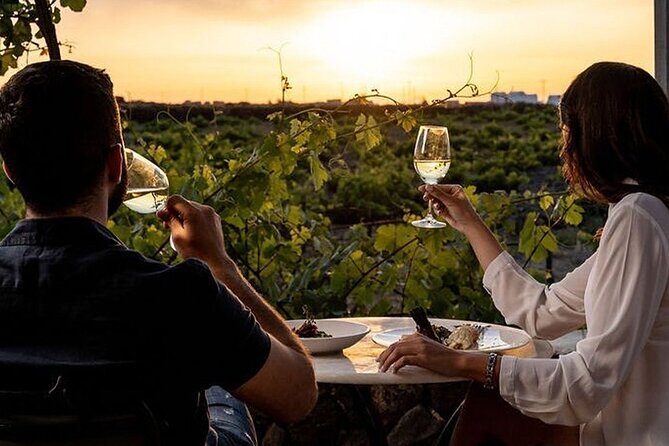 Exclusive Santorini Private Wine Tasting & Greek Lunch Experience - Is It Worth the Price?