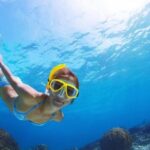 Exclusive Snorkeling Trip Guided by Marine Biology Specialist - Why This Tour Offers Great Value