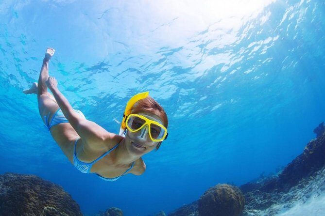 Exclusive Snorkeling Trip Guided by Marine Biology Specialist - Why This Tour Offers Great Value