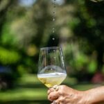 Exclusive Vinho Verde (Green Wine) experience & lunch - Practical Details to Know
