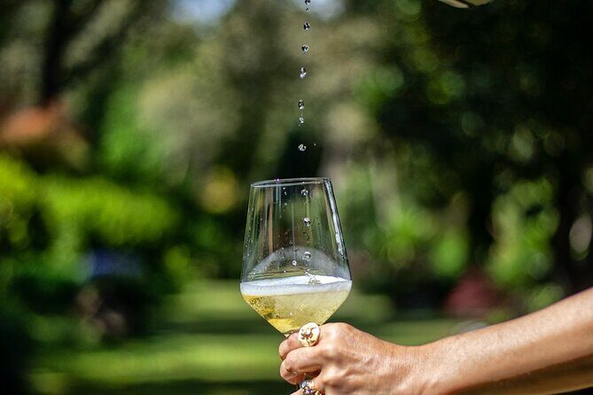 Exclusive Vinho Verde (Green Wine) experience & lunch - Practical Details to Know