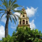 Exclusive visit to the Mosque with official guide. Small groups - Why This Tour Is Worth It