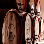 Exclusive Wine Experience: Venetian Best Vineyards - Why This Tour Is Worth Considering