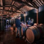 Exclusive Wine Tour and Tasting Experience in Siena - What Makes This Tour Stand Out?