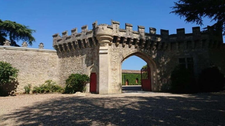 Exclusive Wine Tour of the St-Émilion Chateaux with tastings - Is This Tour Worth the Price?