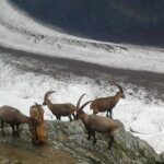 Exclusive Zermatt and Matterhorn: Small Group Tour from Bern - Authentic Experiences and Tips from Reviewers