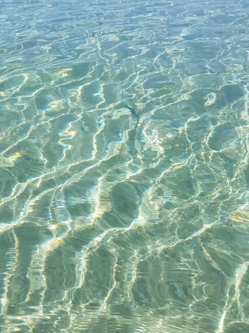 Excursion to Porquerolles Island from Bandol - What’s Included and What’s Not