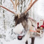 Excursion to Santa Claus Village with Photo, Certificate, and Lunch - Cost and Value Analysis