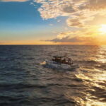 Excursion to see the whales - 3 Hours - A Deep Dive into the Whale Watching Experience