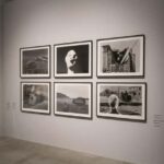 Exhibition David Lynch: Up in Flames - What You Can Expect During Your Visit