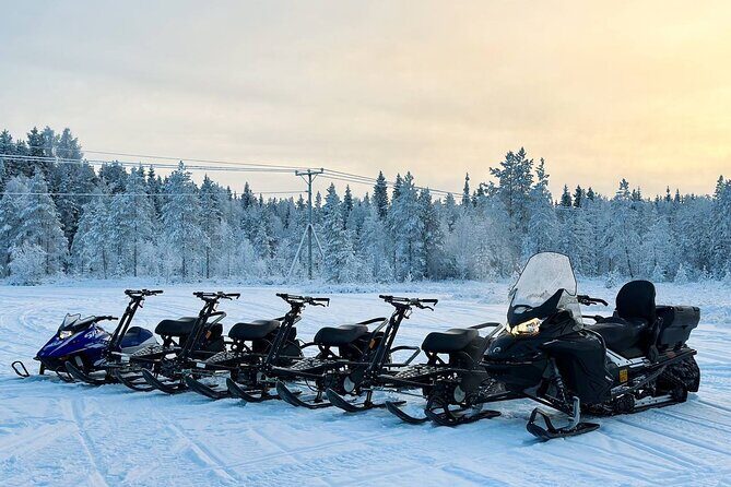 Expedition "INTO THE WILD" Safari and Lunch in Glass Igloo - Comfort and Gear