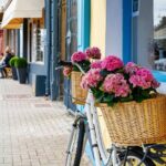 Experience Journey Through Irelands Heart - Final Thoughts