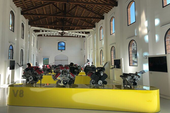 Experience PLUS program - Authentic Feedback from Participants