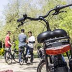 Experience Porto by Bike: 3-Hour Small-Group Tour - What Makes This Tour Stand Out?