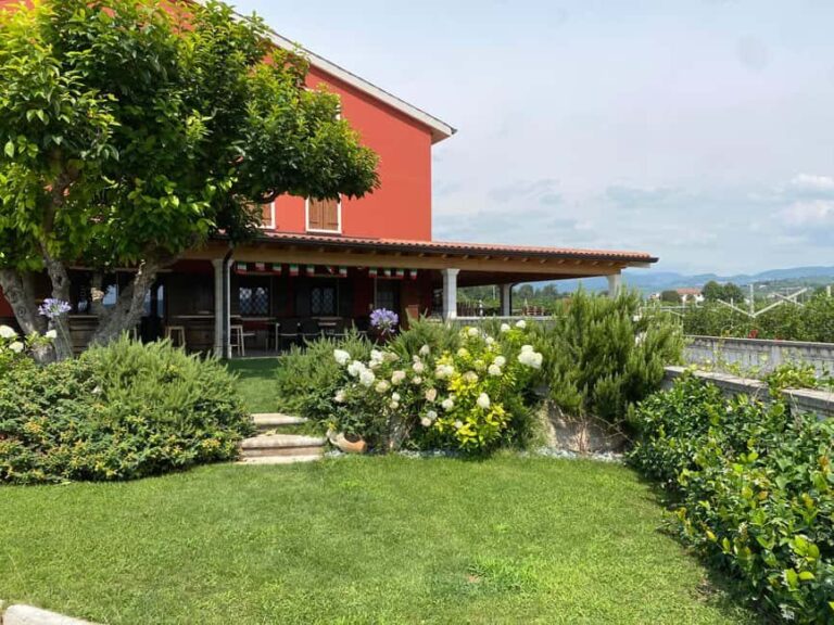 Experience Valpolicella: visit and tasting near Verona - A Detailed Look at the Valpolicella Tasting Experience