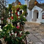 Expert Guided Visit & Tasting, Alberobello - Detailed Review — The Experience from Start to Finish