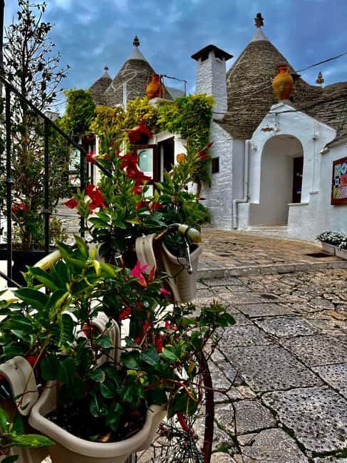 Expert Guided Visit & Tasting, Alberobello - Detailed Review — The Experience from Start to Finish
