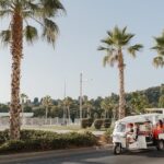 Expert Tour of Malaga in Private Eco Tuk Tuk - What to Expect from the Experience