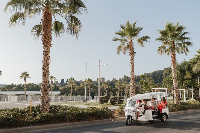 Expert Tour of Malaga in Private Eco Tuk Tuk - What to Expect from the Experience