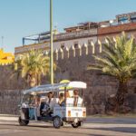 Expert Tour of Seville in Private Eco Tuk Tuk - Final Thoughts: Who Should Book This Tour?