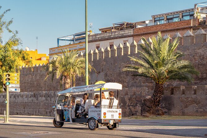 Expert Tour of Seville in Private Eco Tuk Tuk - Final Thoughts: Who Should Book This Tour?