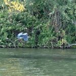 Explore Bird & Marine Wildlife private Boat Tour in English - Practical Details and Value