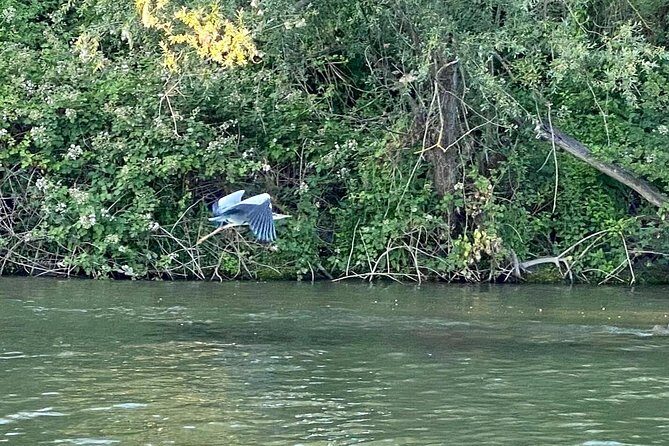Explore Bird & Marine Wildlife private Boat Tour in English - Practical Details and Value