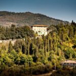 Explore Elegance: Savor 3 Exquisite Wines at Tenuta Bossi - Why You Should Consider This Experience