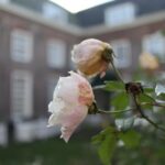 Explore hidden streets with friends - Private Tour - Practical Details and Tips