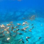 Explore Lindos Aboard the Hippo Submarine - The Itinerary Breakdown