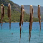 Explore Loutraki & Lake Vouliagmeni: Nature and Relaxation - Why This Tour Offers Great Value