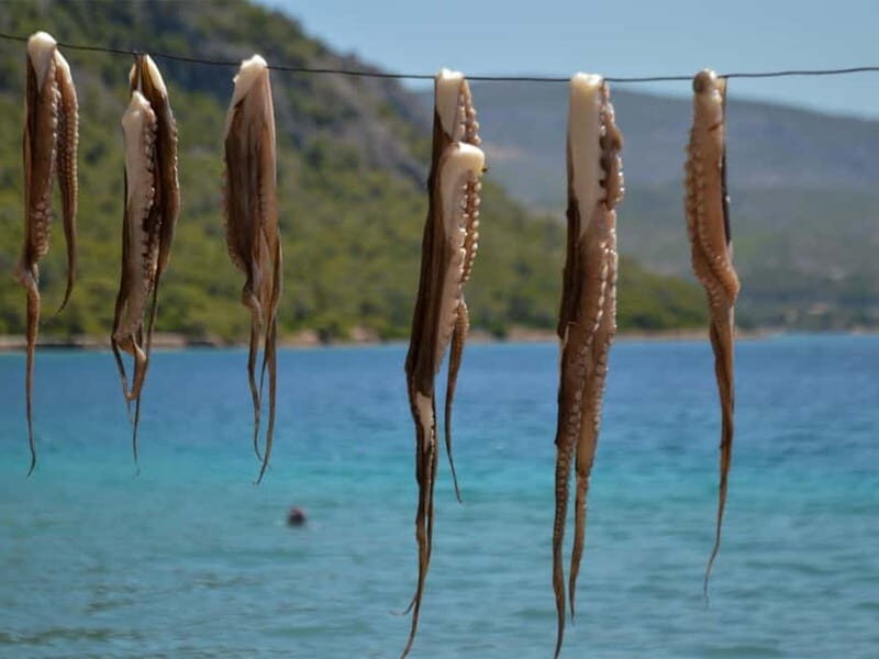 Explore Loutraki & Lake Vouliagmeni: Nature and Relaxation - Why This Tour Offers Great Value
